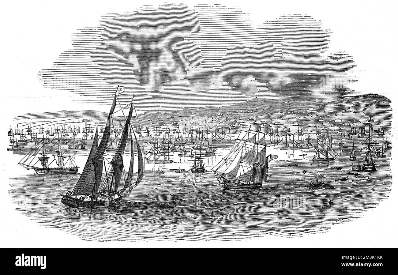 Baie de San Francisco, haute Californie. Banque D'Images