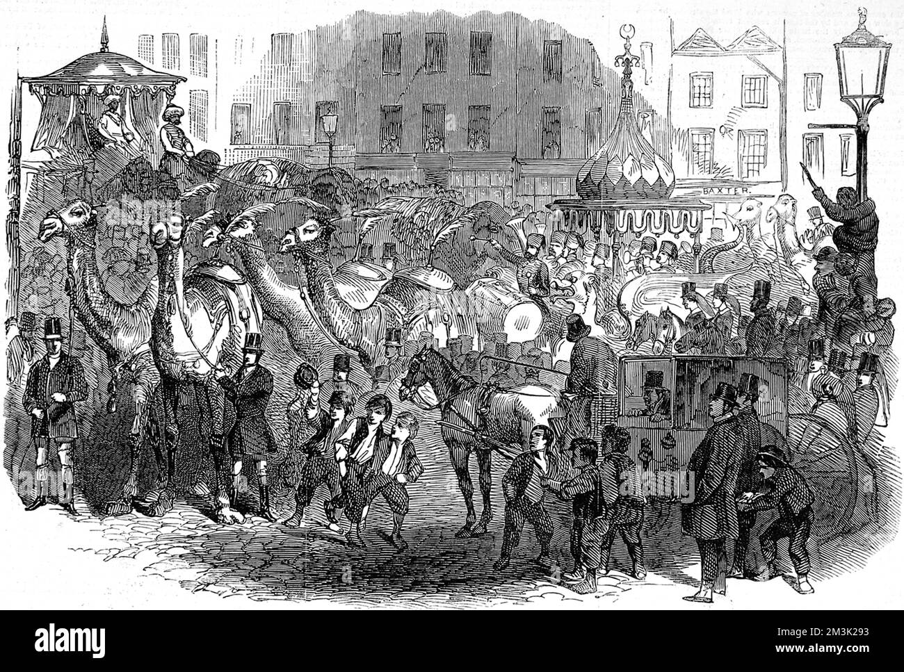 Hughes' 'Mammoth troupe' se déplaçant dans les rues de Londres en route vers le théâtre Drury Lane, mars 1847. De grandes foules de Londoniens se sont rassemblées pour observer les chameaux, les éléphants et les chevaux se promener dans la ville. Date: 1847 Banque D'Images