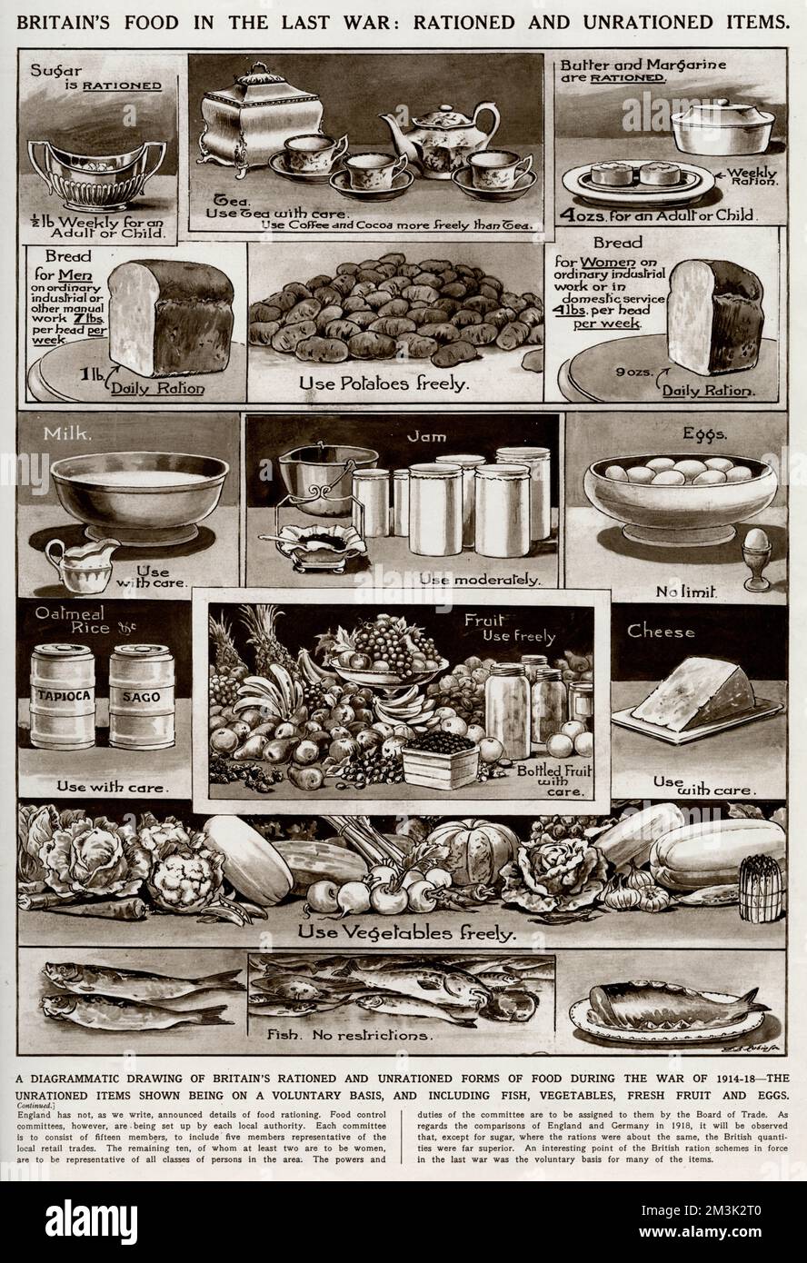 Rationnement alimentaire britannique, première Guerre mondiale, 1918 Banque D'Images