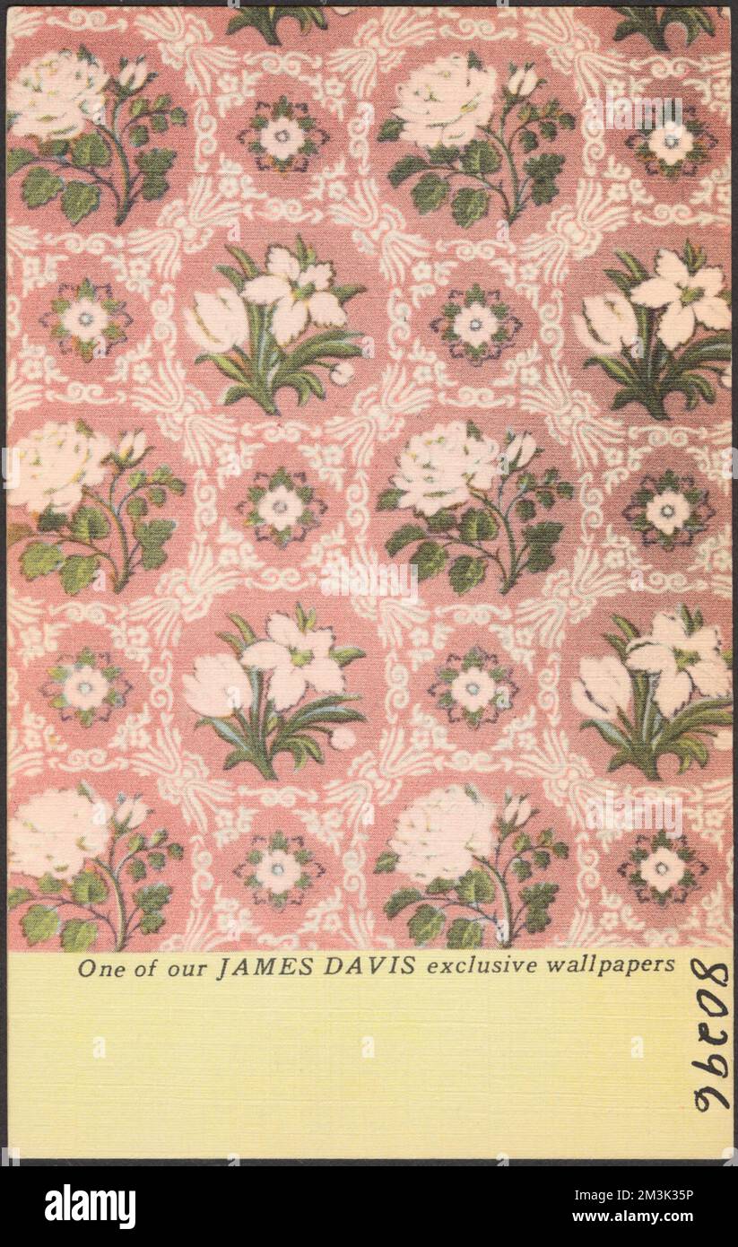 Un de nos fonds d'écran exclusifs James Davis , Fonds d'écran, Collection Tichnor Brothers, cartes postales des États-Unis Banque D'Images