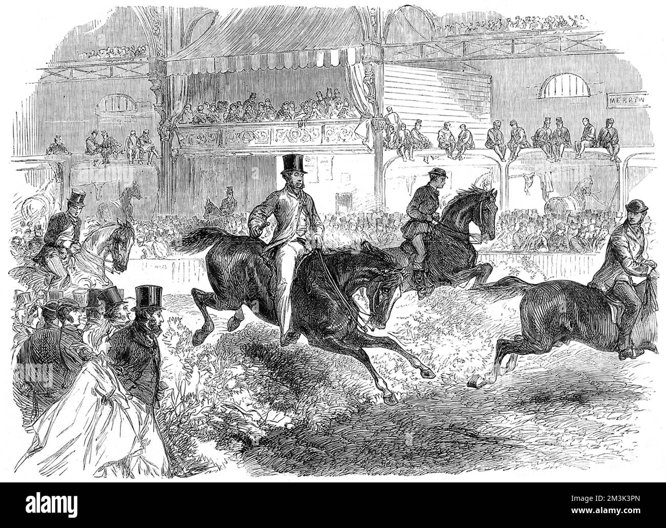 Photo Ancienne équestre - Saut D'obstacles Années 50, Jeune Cavalier Anglais - Vintage, état Correct Avec Traces D'âge