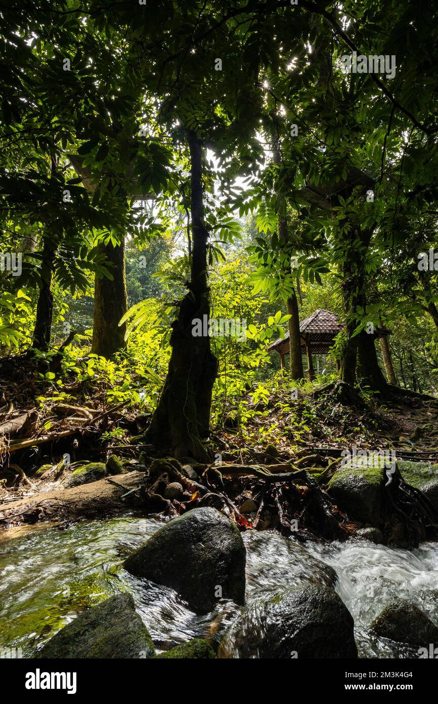 Selangor comme destination de loisirs tropicale. Banque D'Images