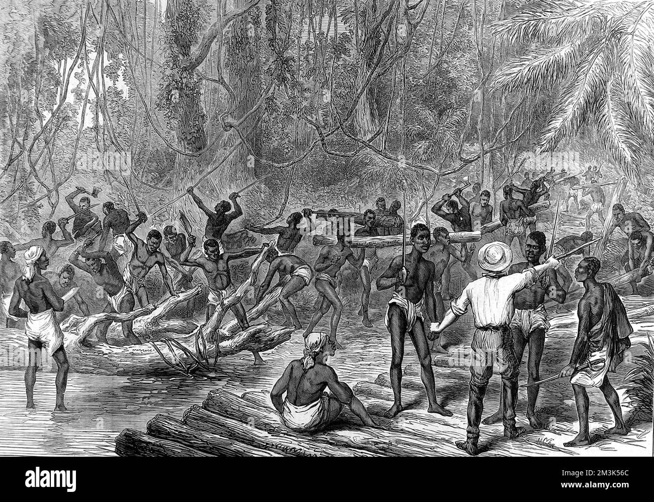 Le responsable britannique donne des instructions aux tribesmen qui coupent les arbres et font une route vers la capitale Ashanti, Kumasi. La deuxième guerre d'Ashanti entre,1873-74, fut entre le roi Kofi Karikari, dirigeant des Ashanti (ou Asantehene), et les Britanniques. Tous deux tentaient de sécuriser la ville côtière d'Elmina sur la côte ouest de l'Afrique, également connue sous le nom de Gold Coast. Date: 1874 Banque D'Images