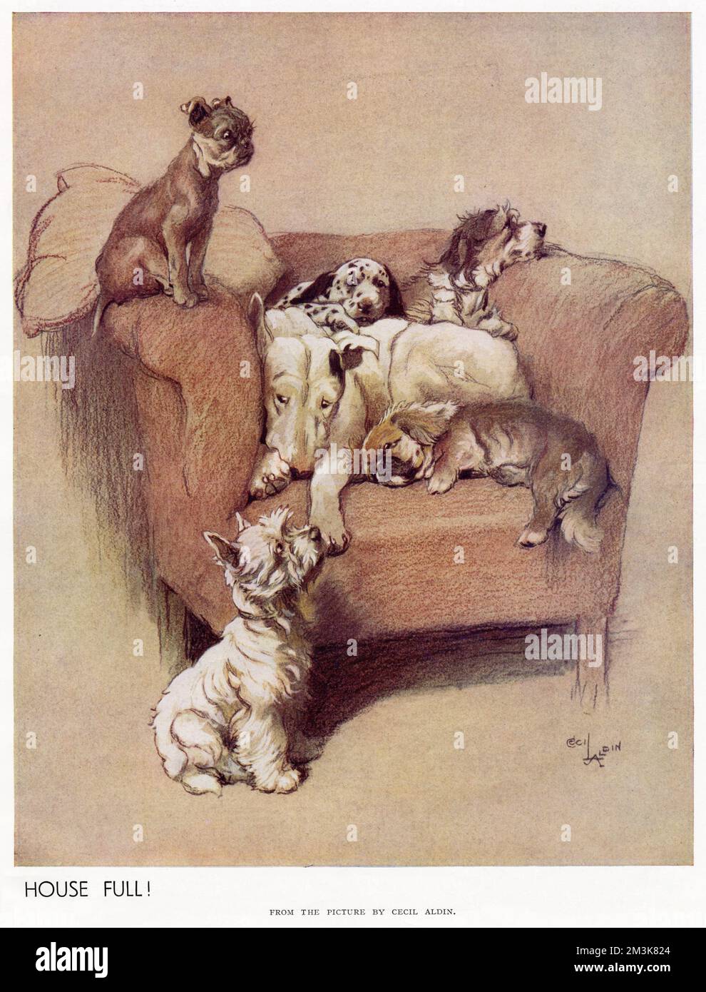 A House Full de Cecil Aldin Banque D'Images