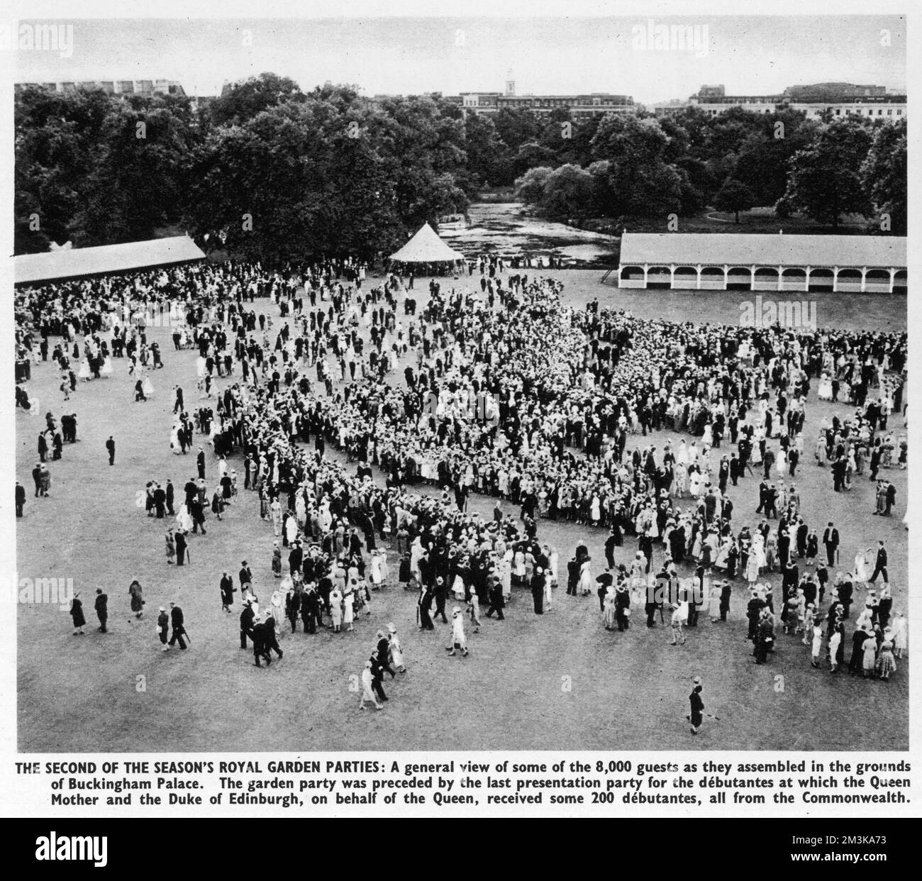 Vue générale des 8000 invités assemblés dans le domaine de Buckingham Palace. La fête du jardin a été précédée par la dernière partie de présentation pour les debutantes. Date: 1958 Banque D'Images