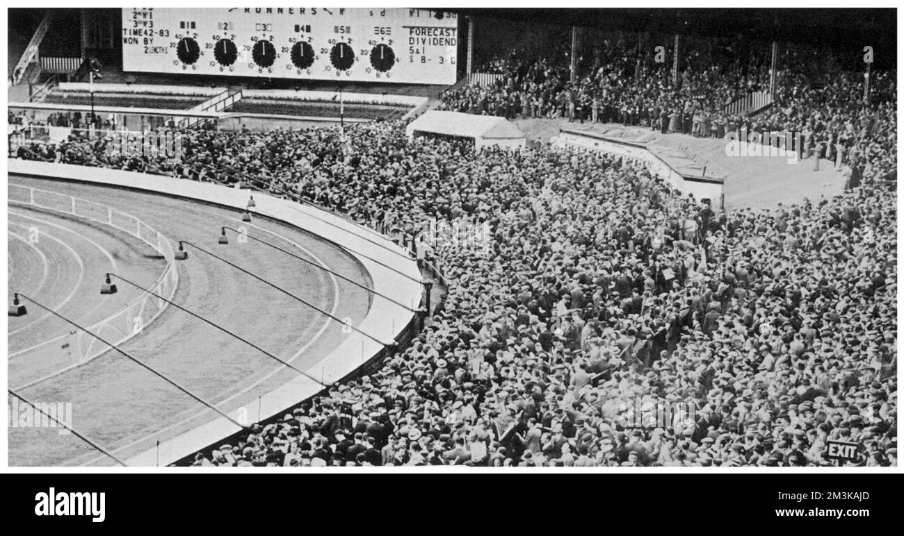 GREYHOUND DERBY À WHITE CITY Banque D'Images
