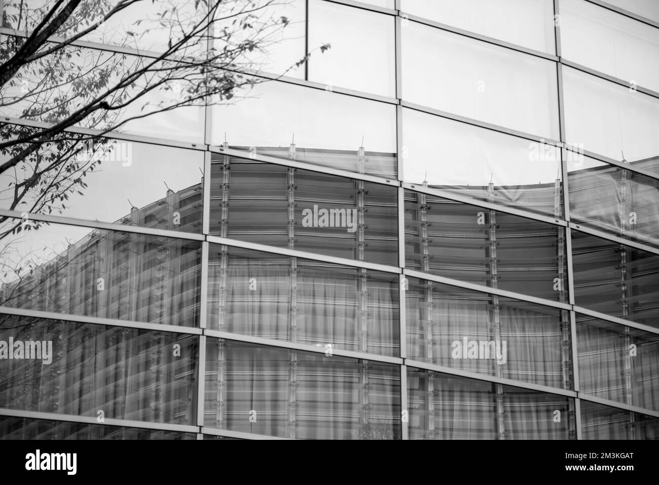 L'architecture du Centre national d'art de Tokyo, conçu par Kisho Kurokawa Banque D'Images