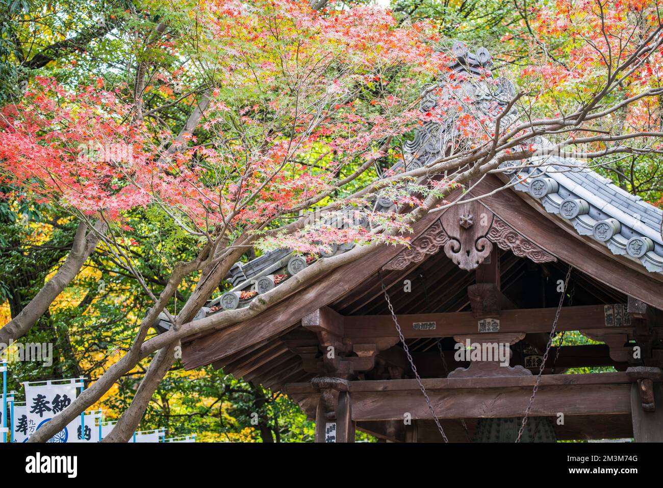 Temple Koshoji à Nagoya, Aichi, Japon Banque D'Images