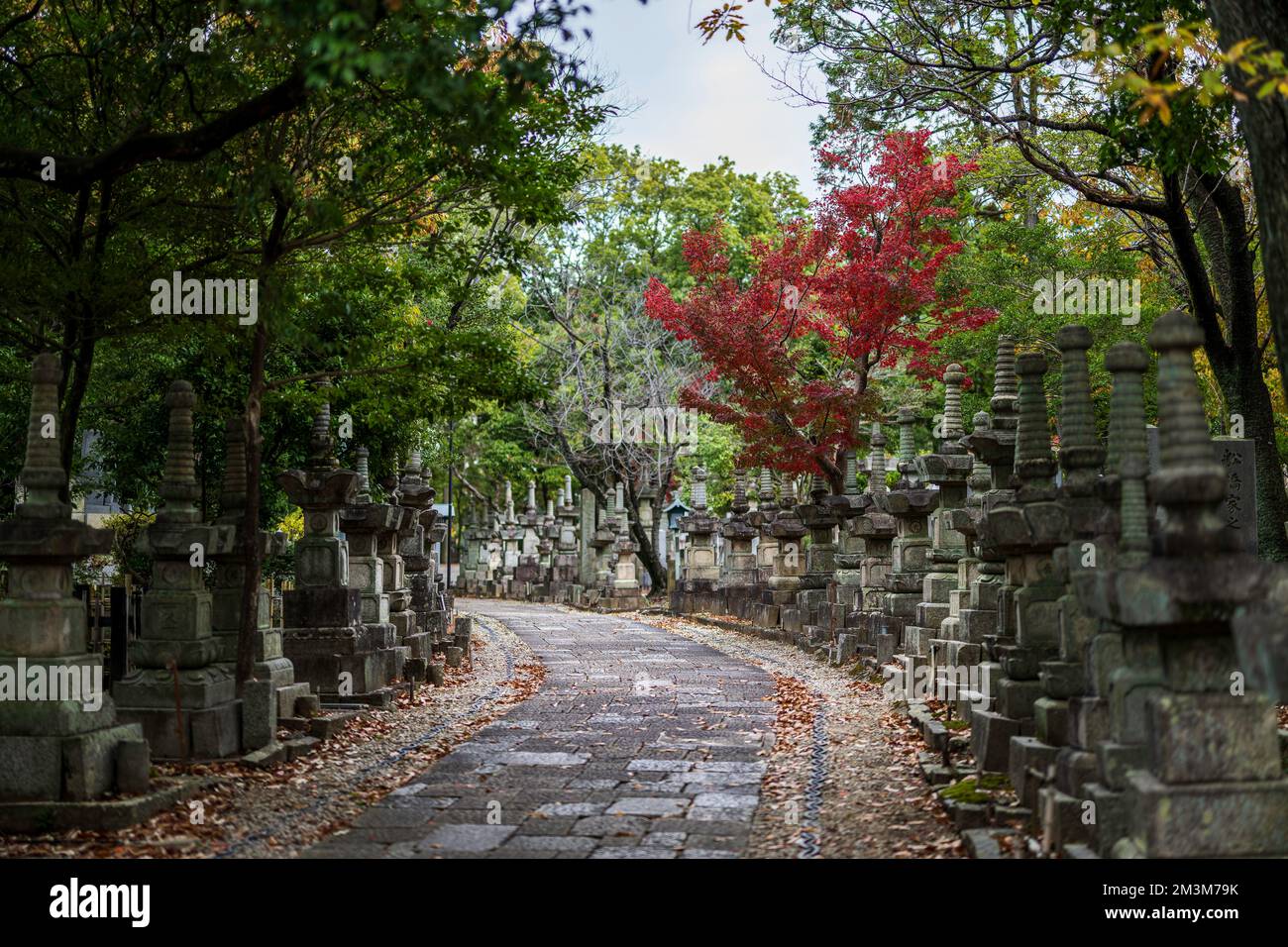 Temple Koshoji à Nagoya, Aichi, Japon Banque D'Images