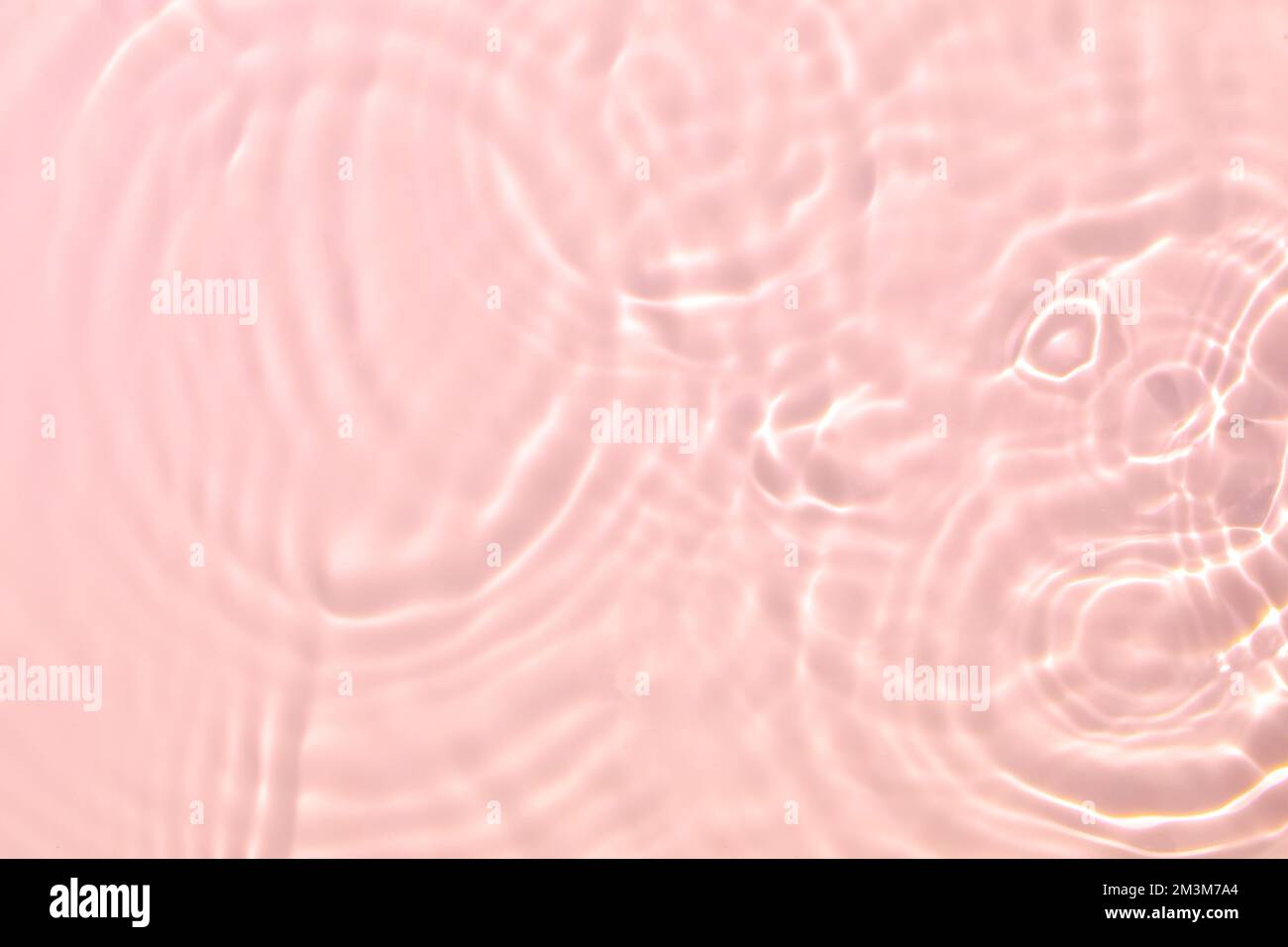 rose transparent eau transparente texture de surface été fond Banque D'Images