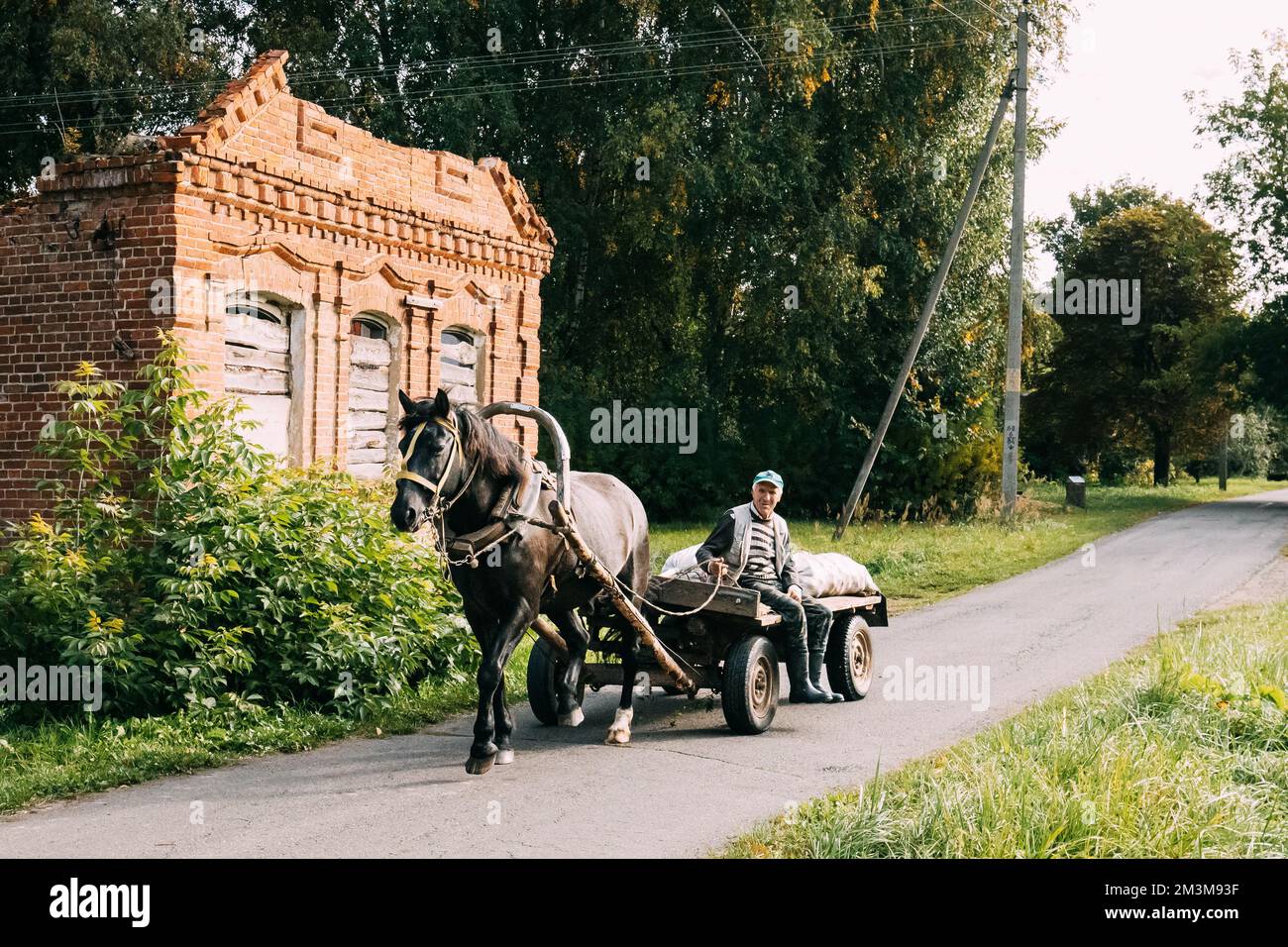Druya, Bélarus. Old Man, en calèche, passe dans une rue déserte par la Sunny Day d'été. Maison abandonnée en arrière-plan. Banque D'Images