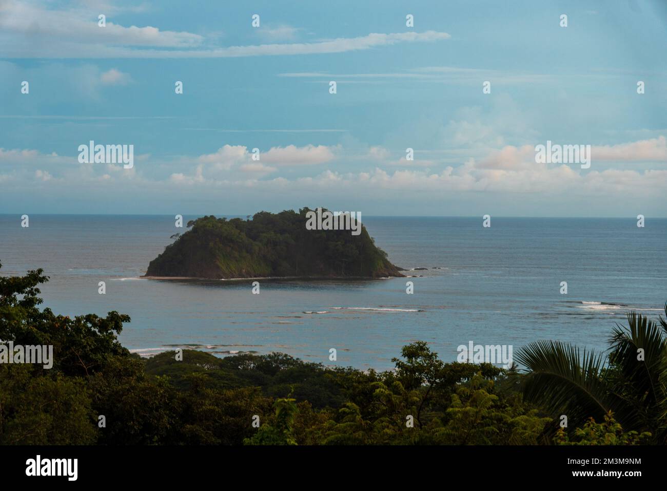 Jungle costaricaine Banque D'Images