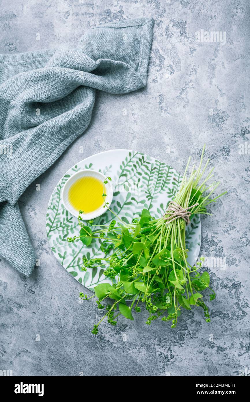 Purslane d'hiver, laitue indienne, avec huile d'olive et sel. Claytonia perfoliata Banque D'Images