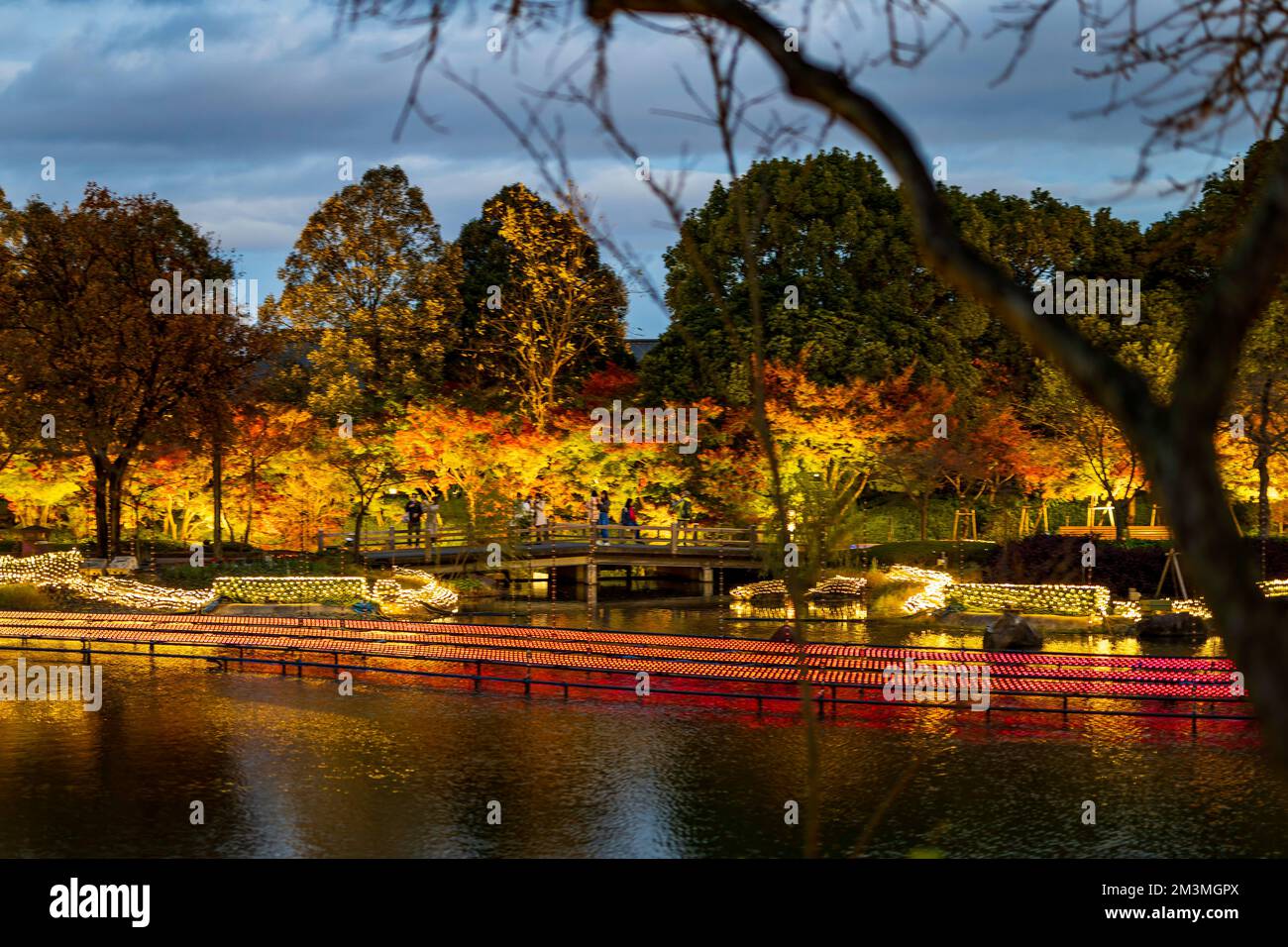 Nabana no Sato Illumination 2022 Banque D'Images