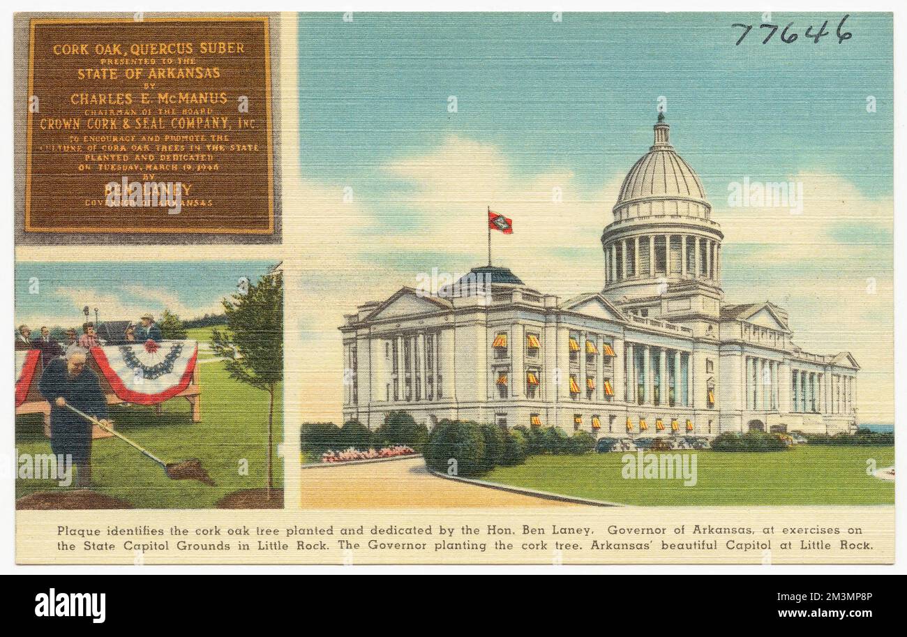 La plaque identifie le chêne-liège planté et dédié par l'honorable Ben Laney, gouverneur de l'Arkansas, lors d'exercices sur le terrain du Capitole de l'État à Little Rock. Le gouverneur plantant l'arbre de liège. Le beau capitole de l'Arkansas à Little Rock, Tichnor Brothers Collection, cartes postales des États-Unis Banque D'Images