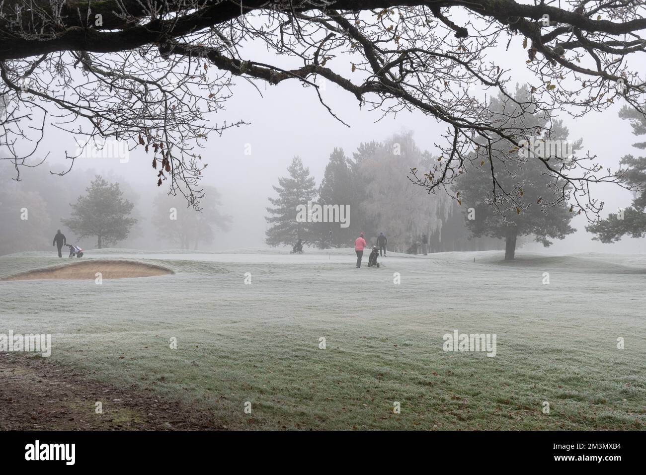 Les gens qui jouent au golf lors d'une journée froide d'hiver avec du brouillard glacial, Surrey, Angleterre, Royaume-Uni Banque D'Images
