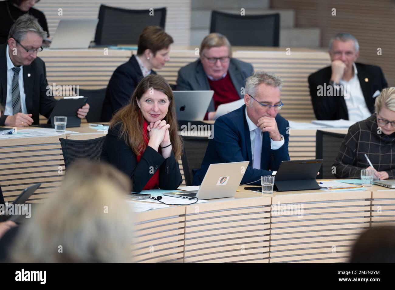 Plenarsitzung im Landeshaus Kiel Abgeordnete diskutieren die Probleme der heutigen Zeit Banque D'Images