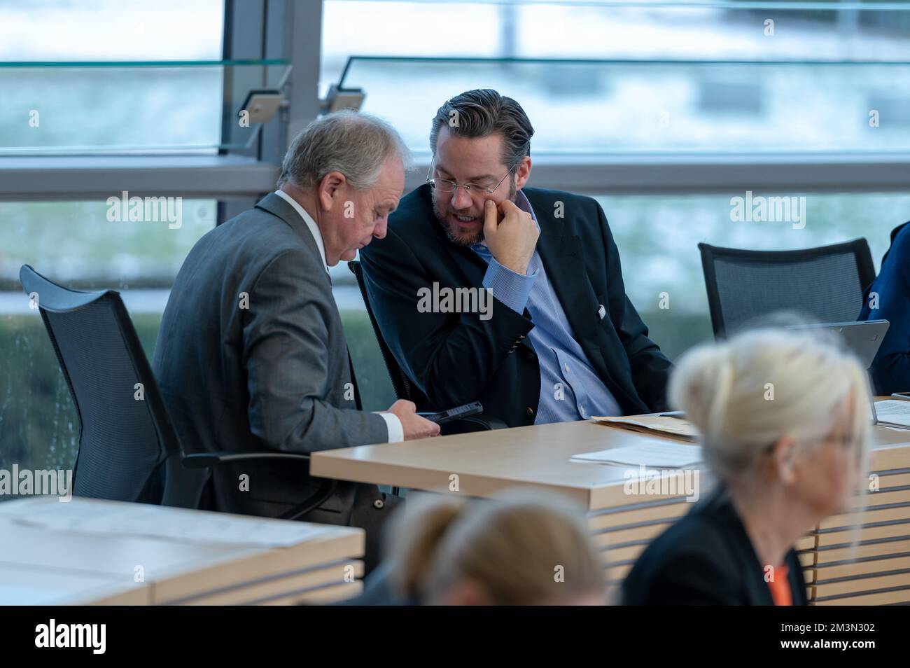 Plenarsitzung im Landeshaus Kiel Abgeordnete diskutieren die Probleme der heutigen Zeit Banque D'Images