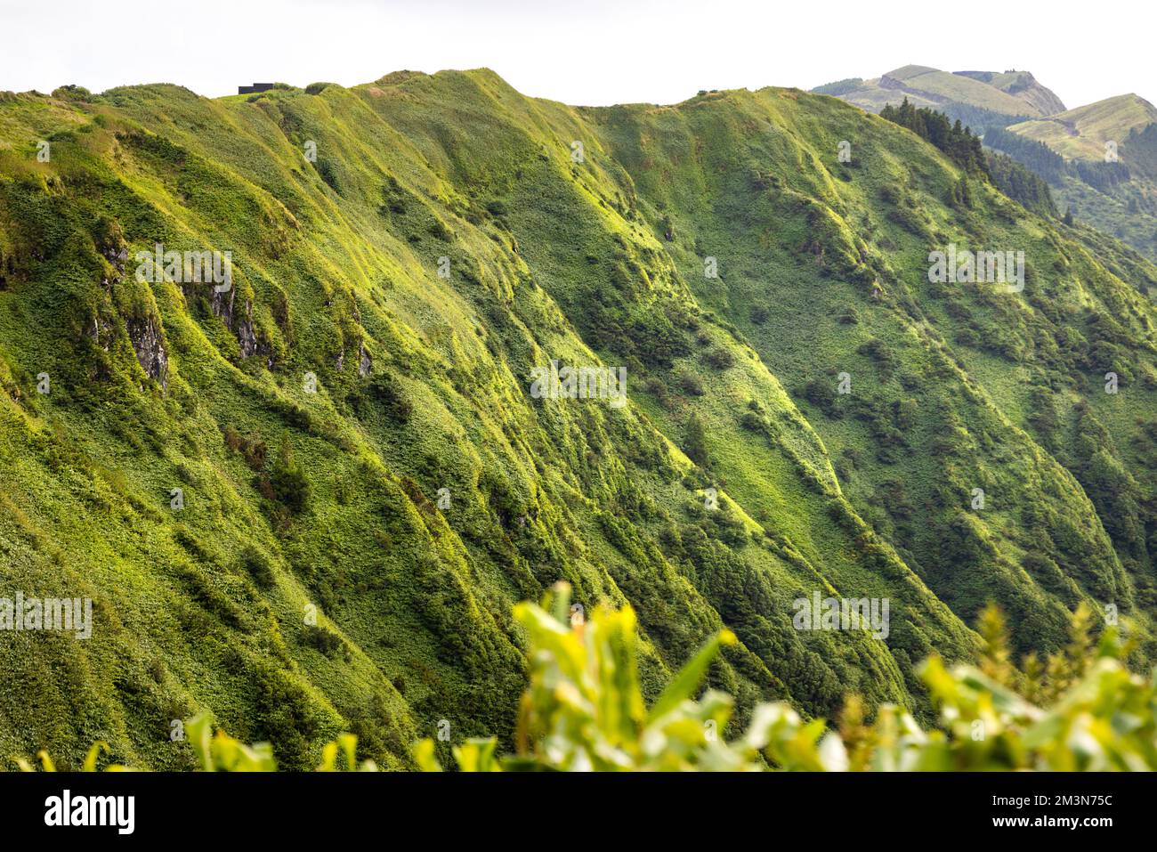 Parois verdoyantes de cratère de la caldeira à Sete Cidades, Açores Banque D'Images