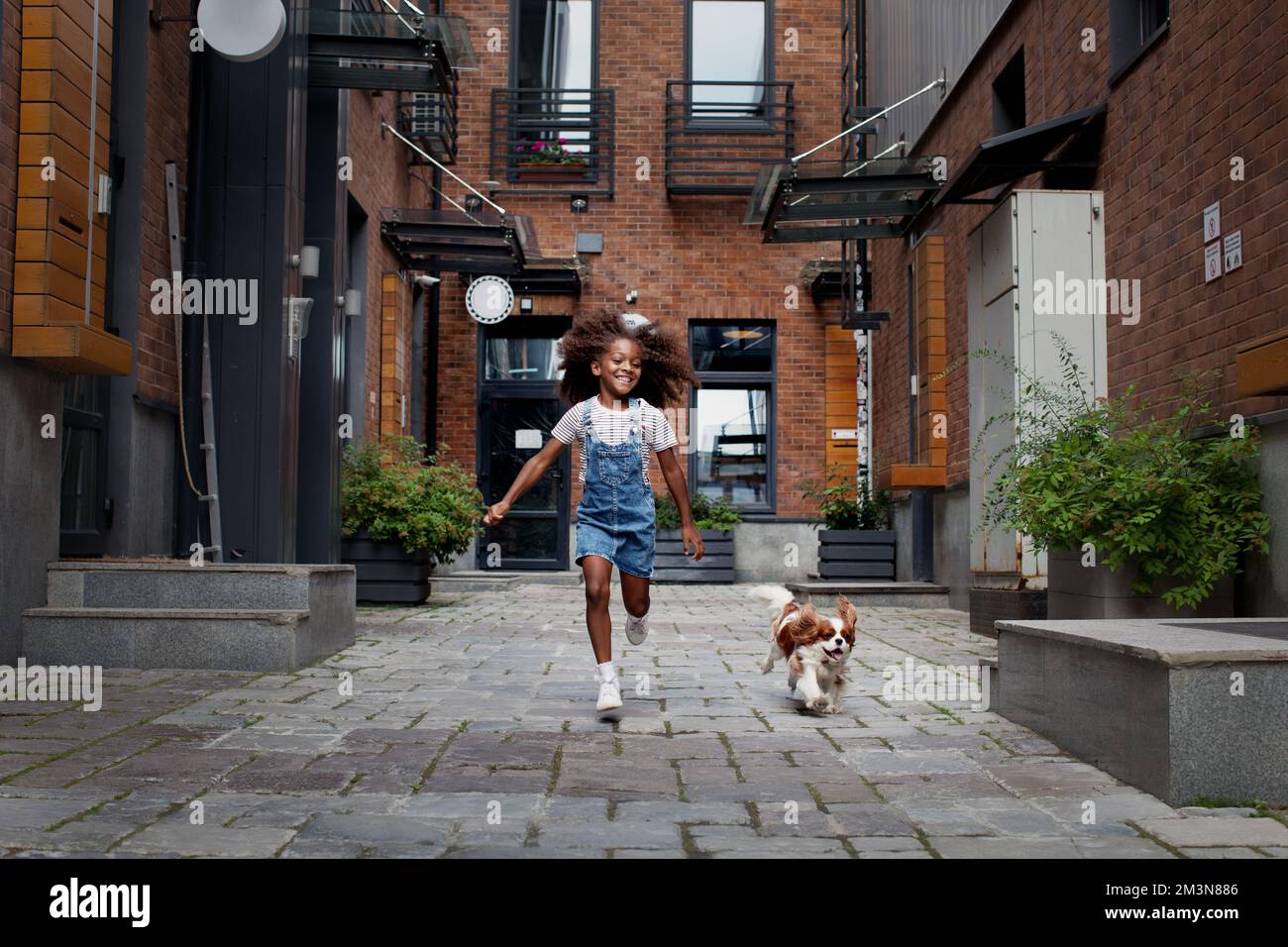 Bonne fille noire avec un chien courant dans la rue de la ville à l'extérieur. Petit modèle afro-américain avec un épagneul cocker Banque D'Images