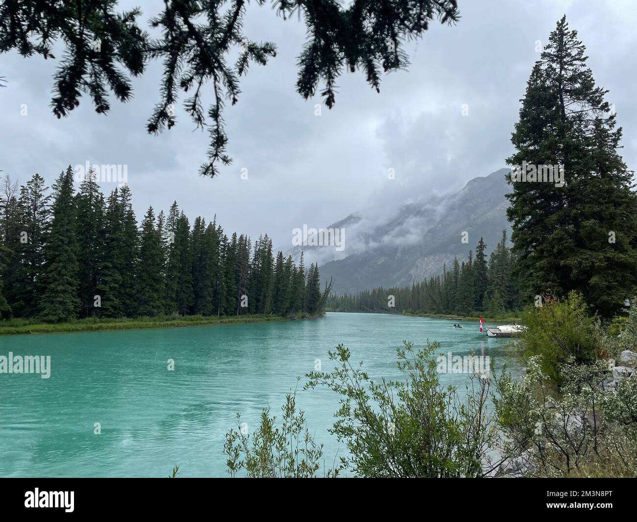 Une vue panoramique sur la rivière Bow entourée de forêts verdoyantes le jour de la brume au Canada Banque D'Images