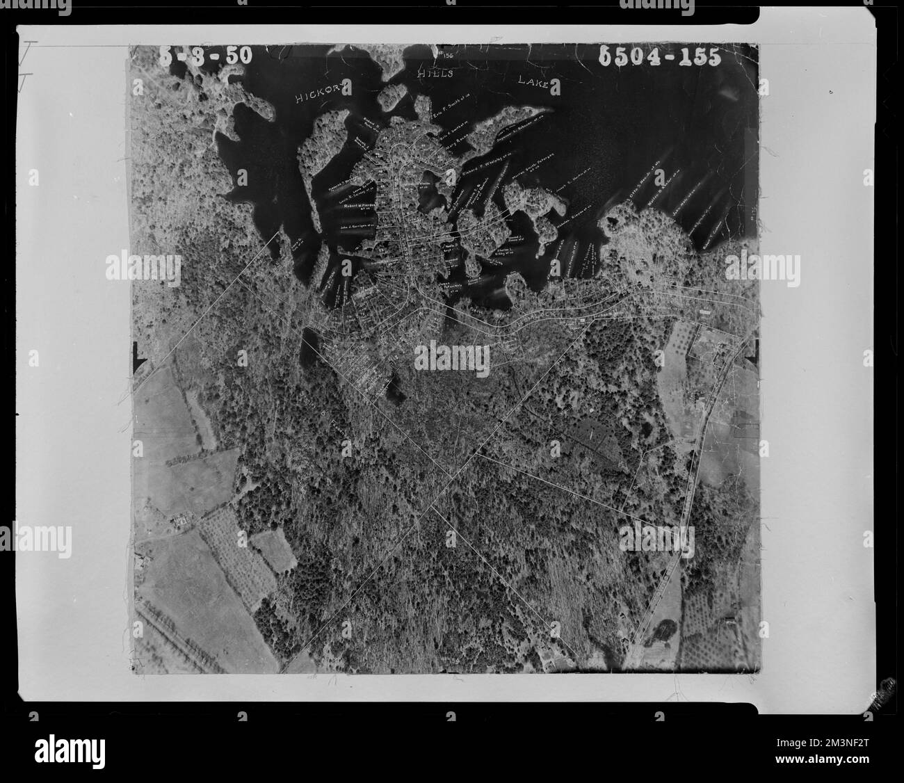 Pin hickory Banque d'images noir et blanc Alamy