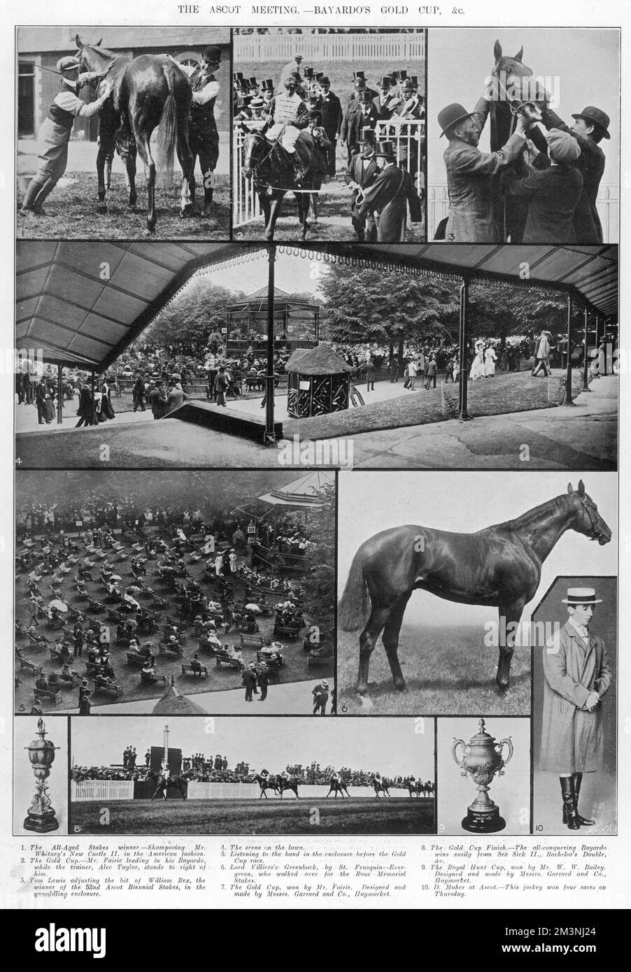 Bayardo's Gold Cup Banque D'Images