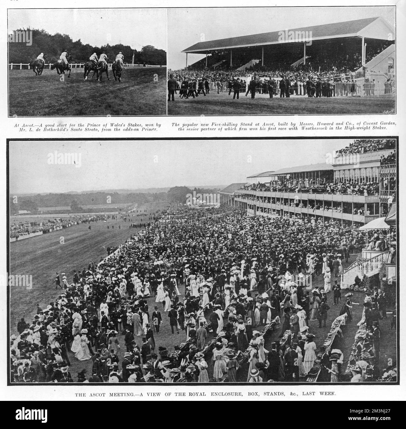 Vue sur l'enceinte royale, la boîte et les stands d'Ascot, montrant également Santo Strato qui remporte les piquets du prince de Galles. Date: 1908 Banque D'Images