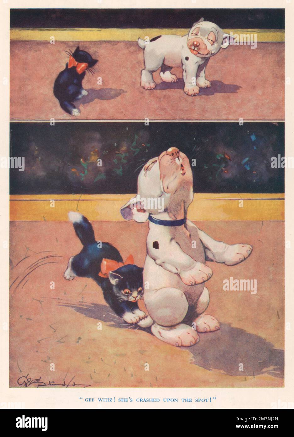 Gee whizz elle s'est écrasée sur place Banque D'Images