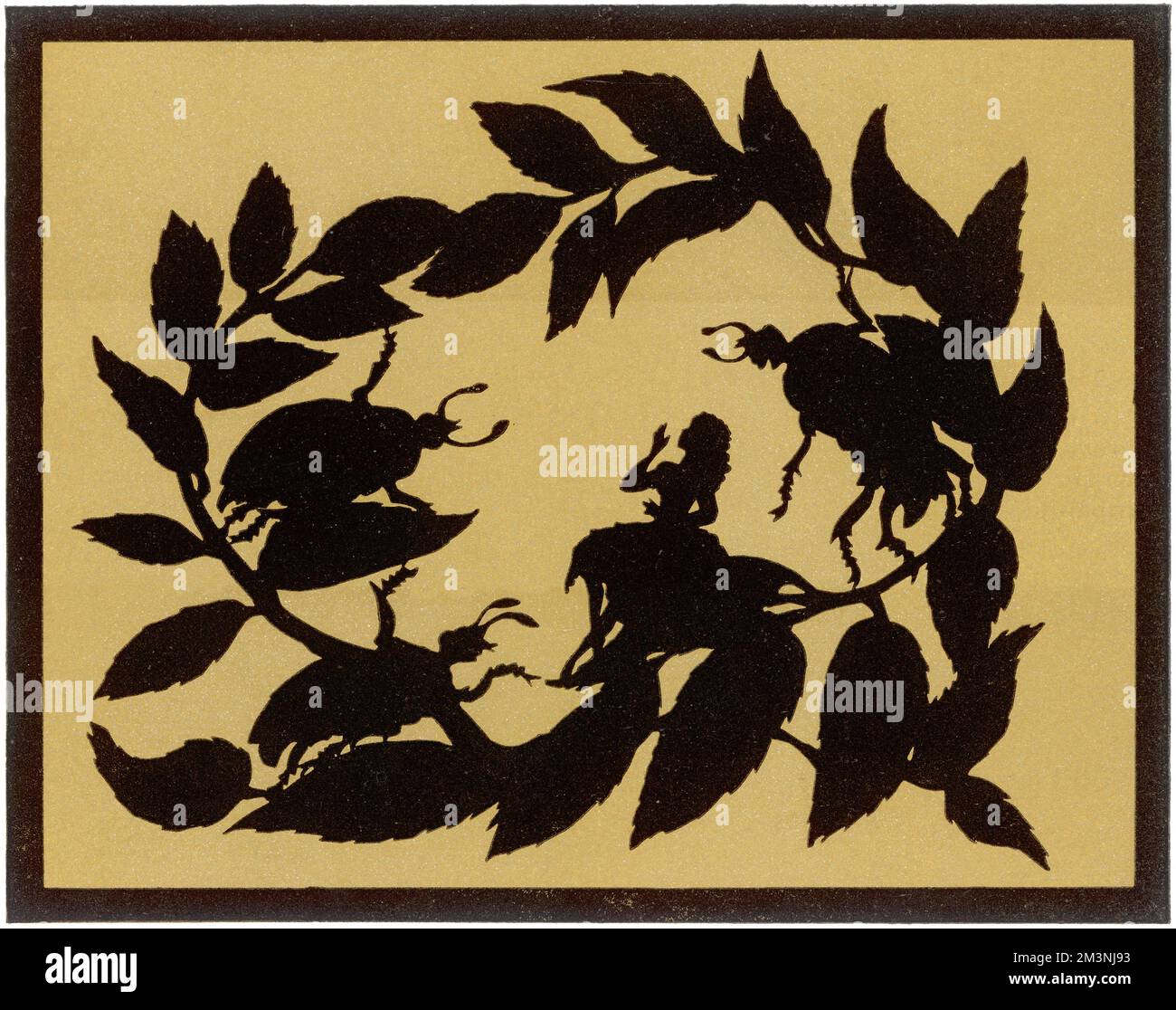 Thumbelina ridiculisée par les Lady Cockchafers Banque D'Images