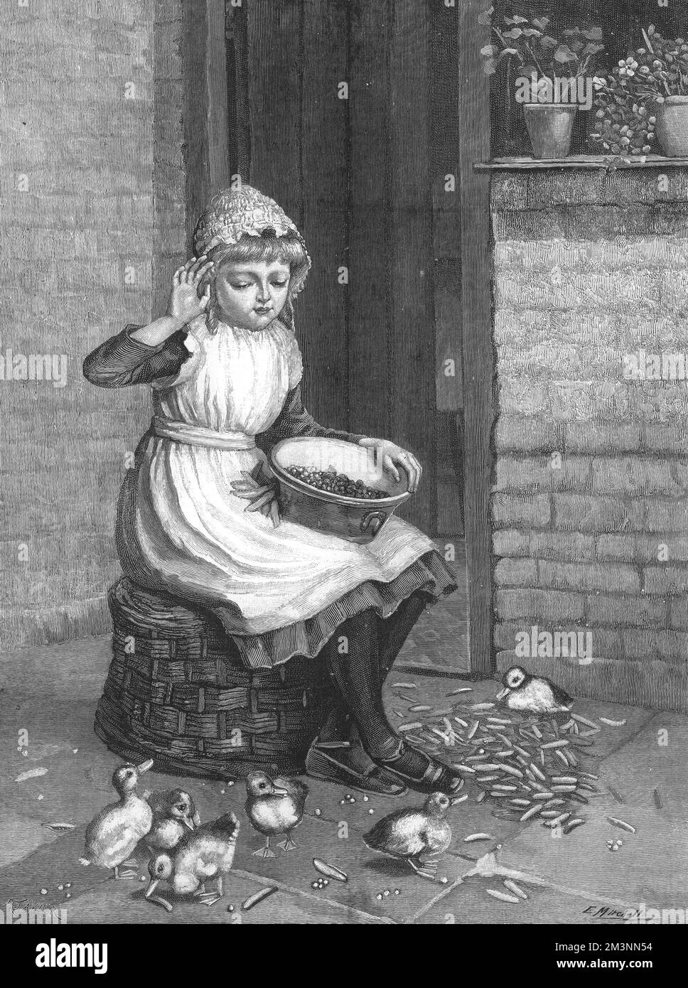 Canards et pois verts de Miss E Mitchell Banque D'Images