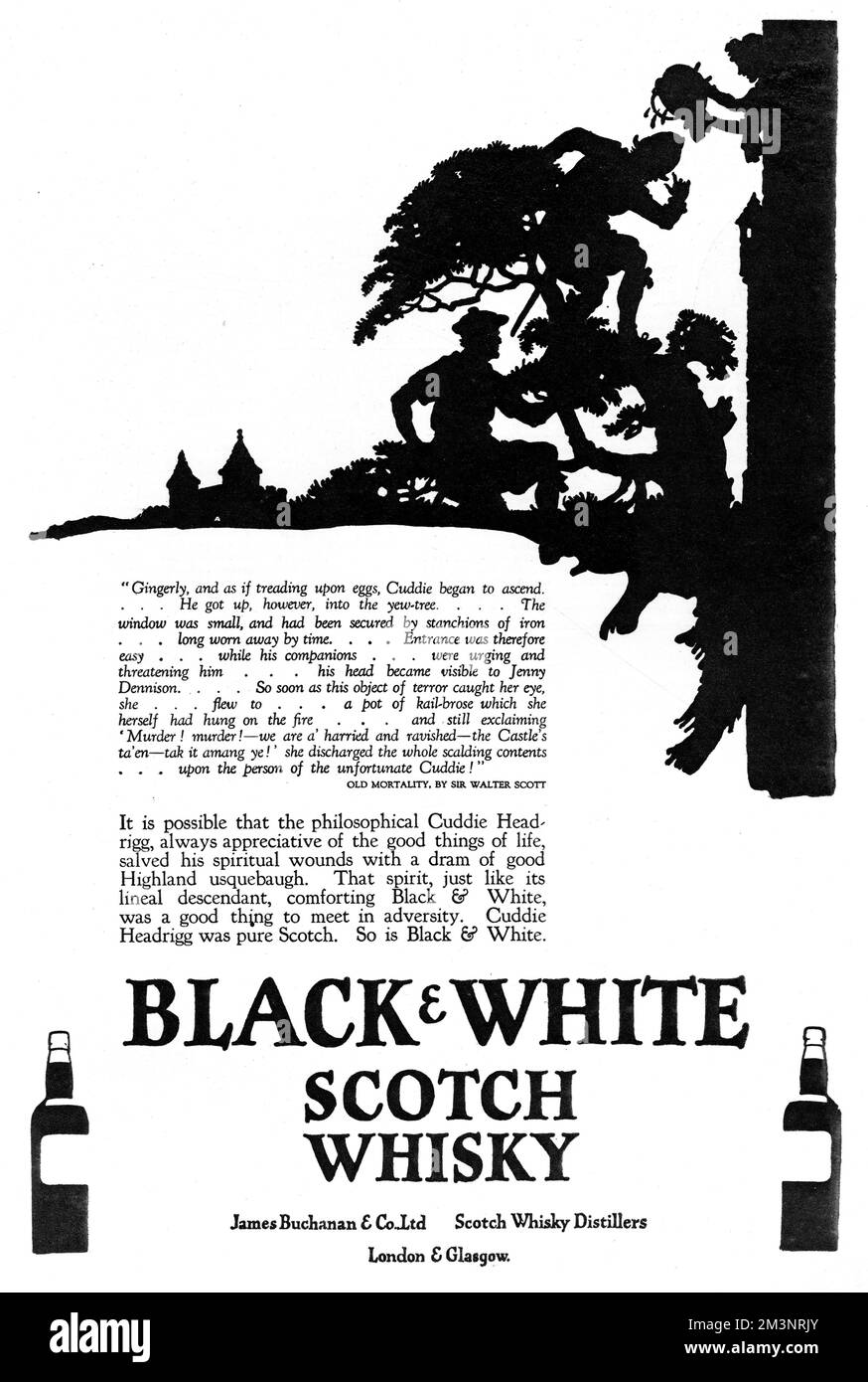 Publicité pour Black & amp; White Scotch Whisky, avec une belle silhouette représentant Cuddie Headrigg grimpant un yew Tree, essayant d'arriver à la fenêtre de Jenny Dennison. Malheureusement, Jenny, alarmée par la pensée des envahisseurs de son château, réagit en jetant un pot de Kail-brose bouillant (un bouillon de tête de boeuf, des talons de vache ou de shin de boeuf, le poireau et soit kail ou chou et l'orge perlé) sur sa tête! La silhouette est accompagnée d'une explication de la scène, une citation de 'vieille morale' de Sir Walter Scott. Date: 1927 Banque D'Images