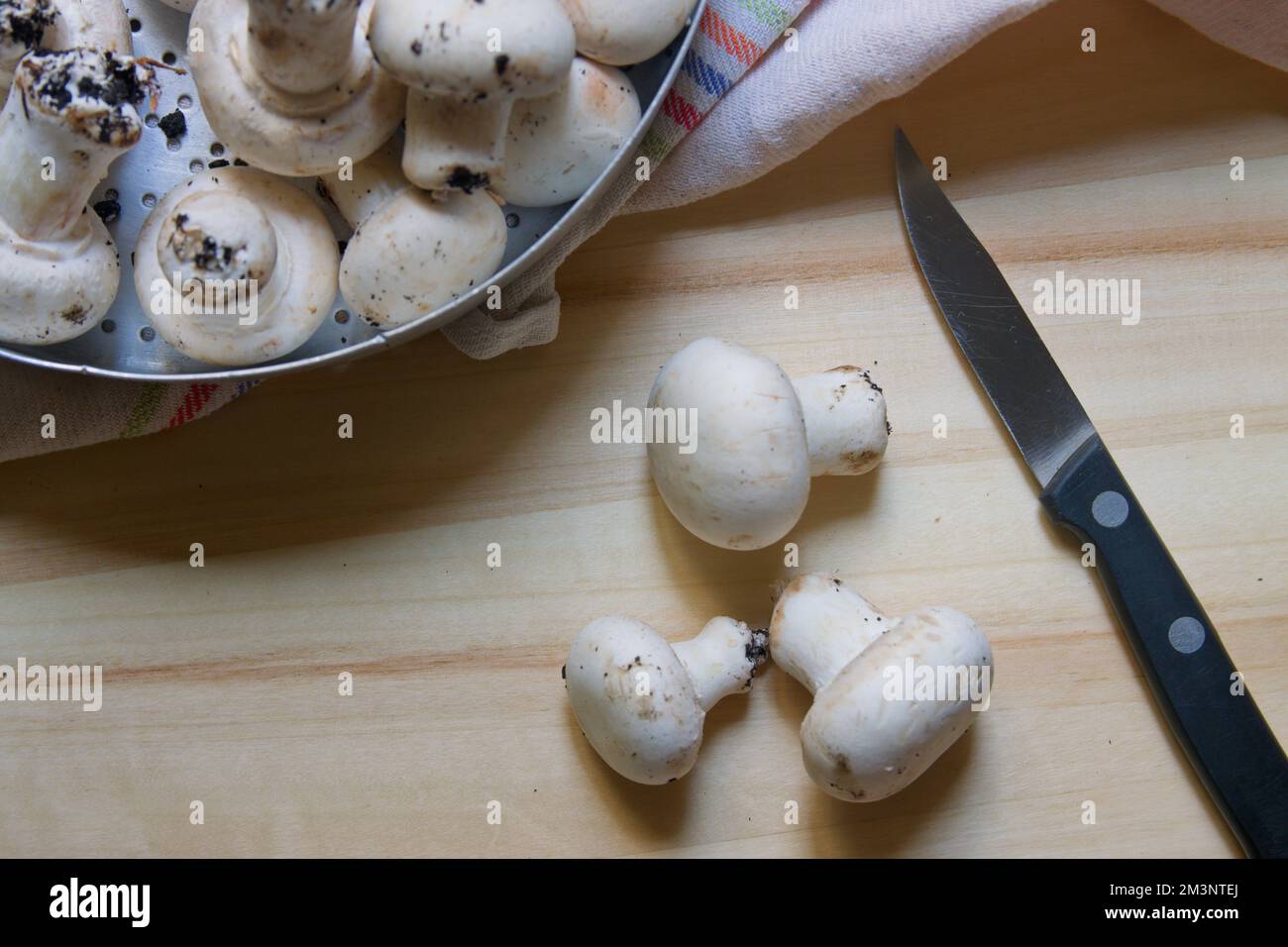 Plat de quelques champignons blancs qui sont sur le point d'être coupés sur une planche en bois, à l'aide d'un couteau à dentelle Banque D'Images