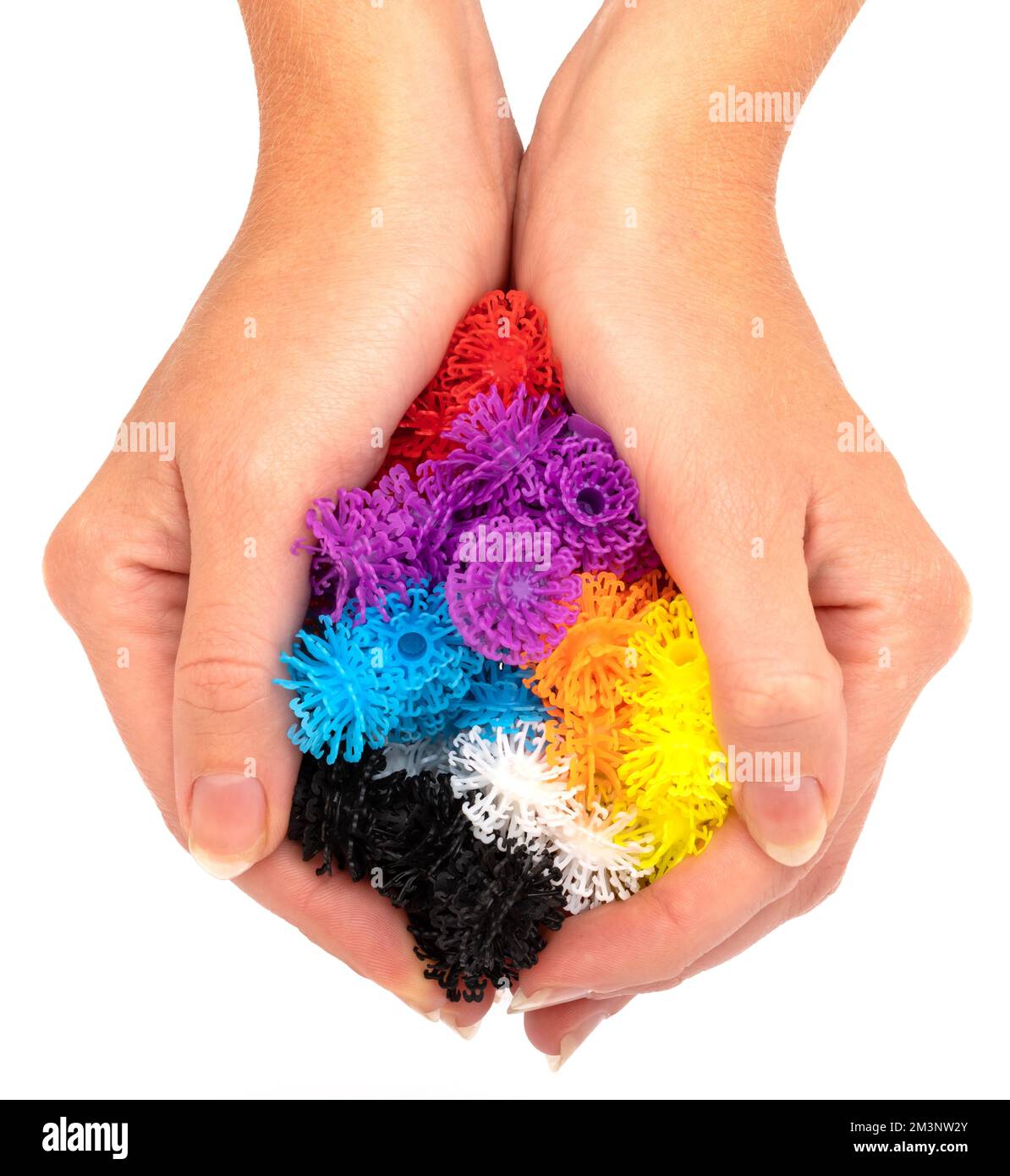 La vue de dessus des mains pleines de boules d'épine colorées avant un fond blanc Banque D'Images