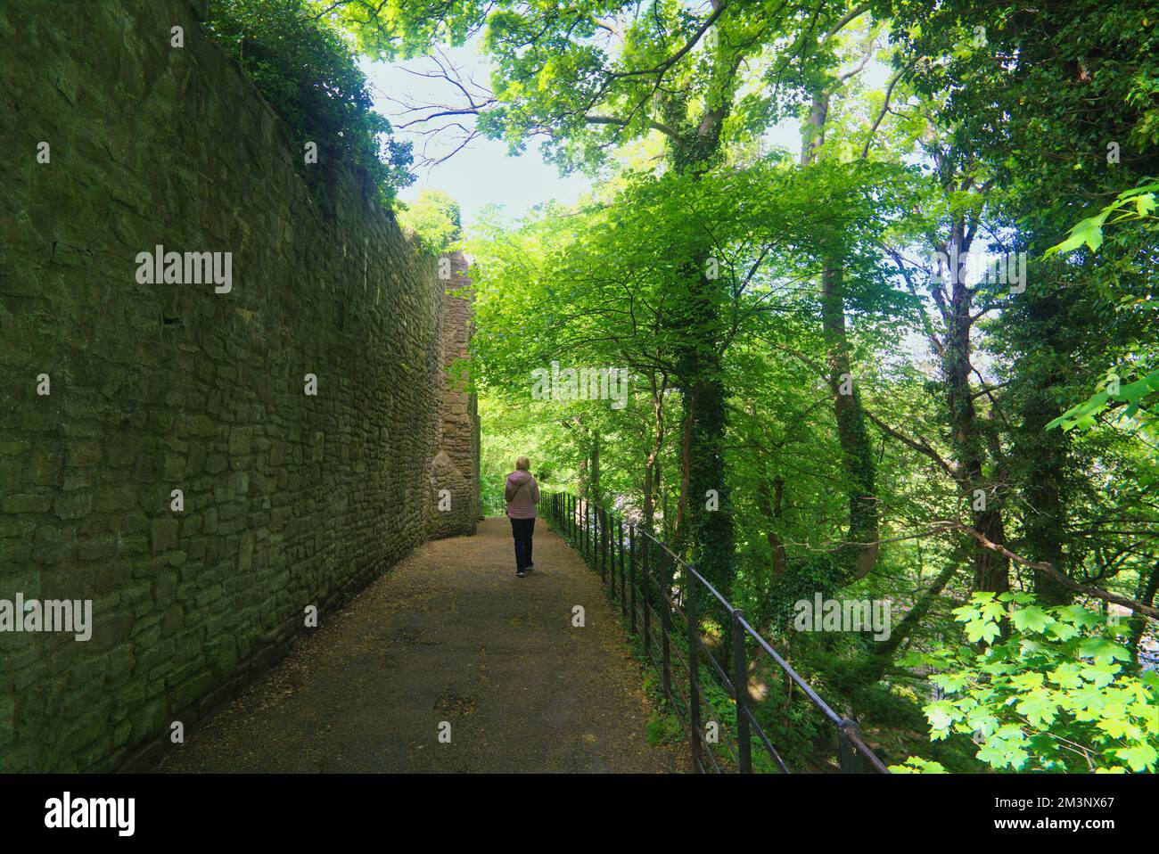 Promenade du château de Richmond. Visiteur marchant. Ce sentier sur le côté du château de Richmond. Richmond Town, Yorkshire, Angleterre, Royaume-Uni Banque D'Images