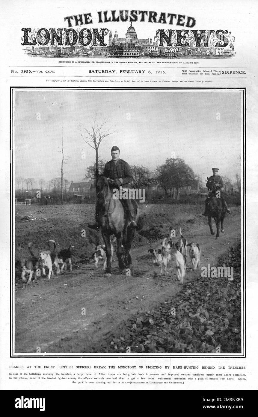 Alors qu'ils sont maintenus en réserve derrière la ligne de front en France, les officiers britanniques s'aventurent avec un paquet de beagles de leur domicile, dans le but de chasser le lièvre Date: 1915 Banque D'Images
