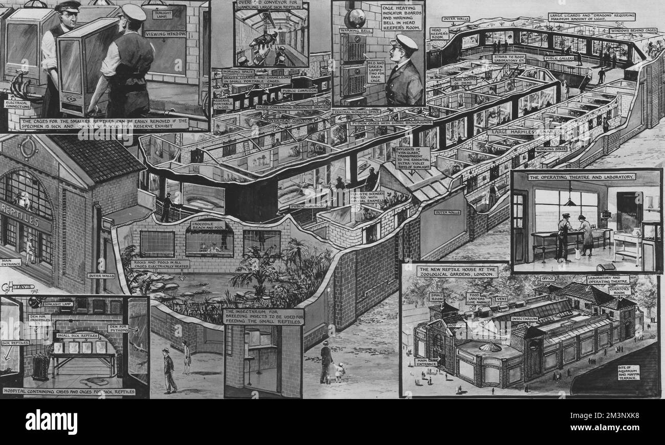 Une carte de la maison de repos récemment ouverte au zoo de Londres, détaillant la disposition des expositions. Il présente également des schémas illustrant plusieurs fonctions de la maison, y compris le système de cage de remplacement. La Reptile House est toujours en place aujourd'hui et a été la première du genre. 1927 Banque D'Images