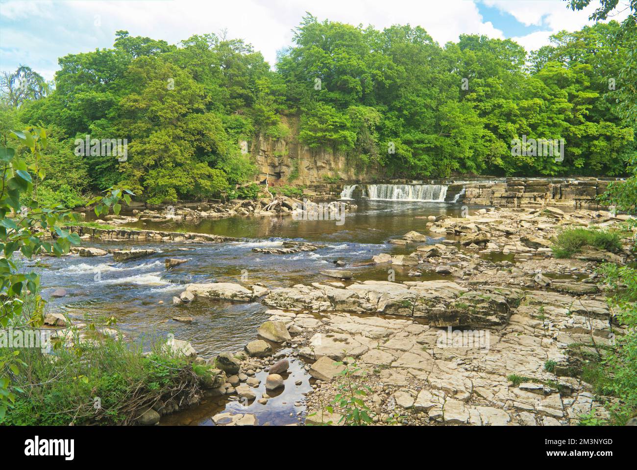 River Swale, depuis le parc de voitures Fosse, Richmond Falls, Richmond, North Yorkshire, Angleterre, Royaume-Uni Banque D'Images