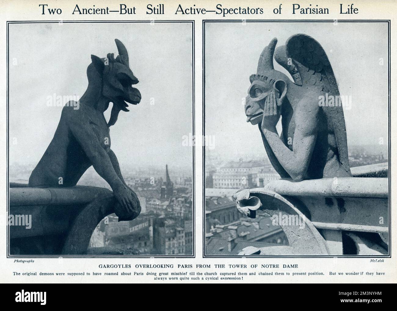 Deux gargouilles sur la cathédrale notre-Dame de Paris. Date: 1914 Banque D'Images