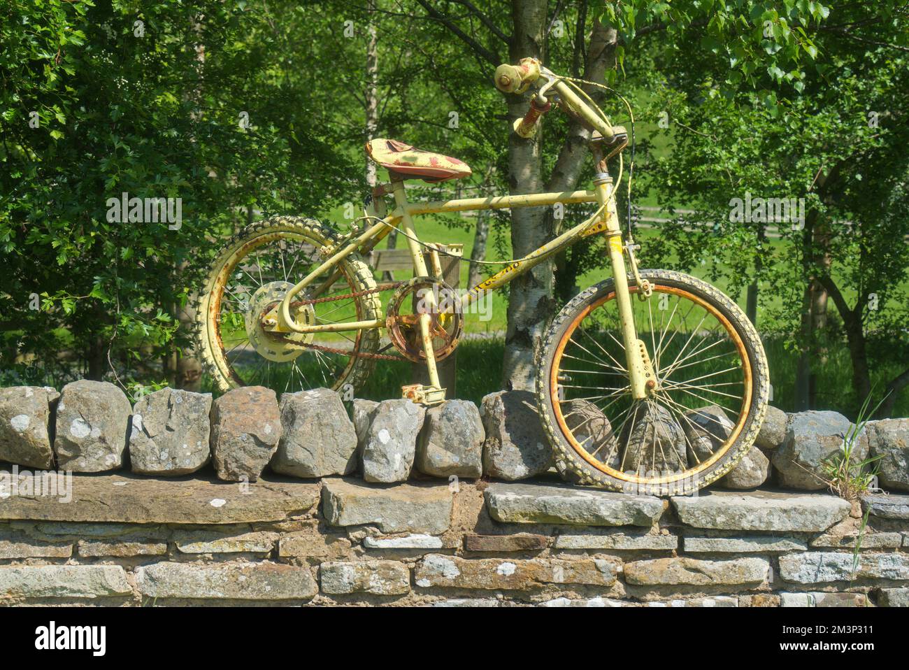 Vélo jaune sur le mur à Swaledale, près du village de Gunnerside, à partir de B6270; près de Richmond, Yorkshire Dales National Park, North Yorkshire, Angleterre, U Banque D'Images