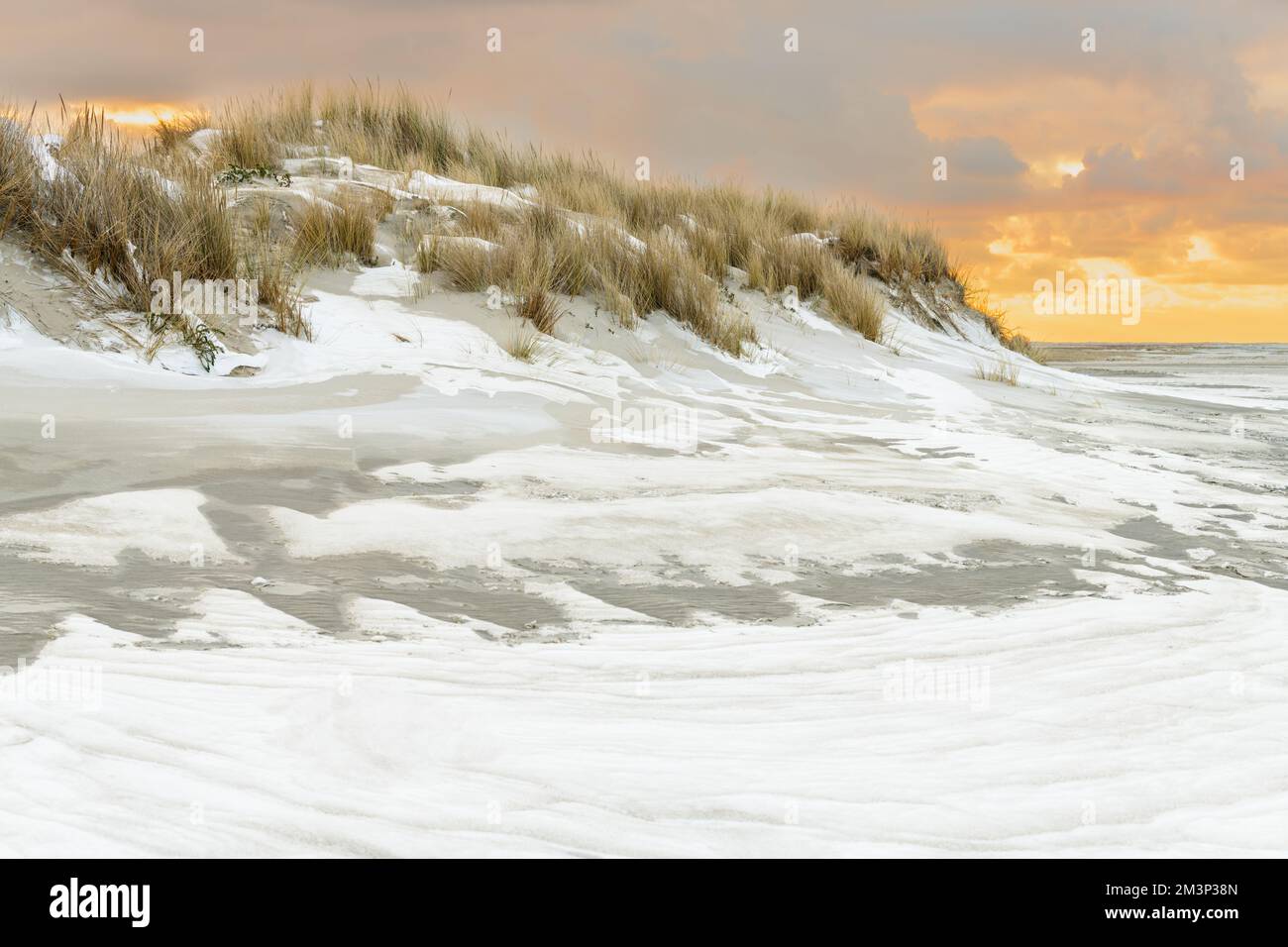 Paysage d'hiver au coucher du soleil sur la plage avec dunes et neige à Kwade Hoek sur l'île de Goeree-Overflakkee aux pays-Bas. La mer du Nord est Banque D'Images