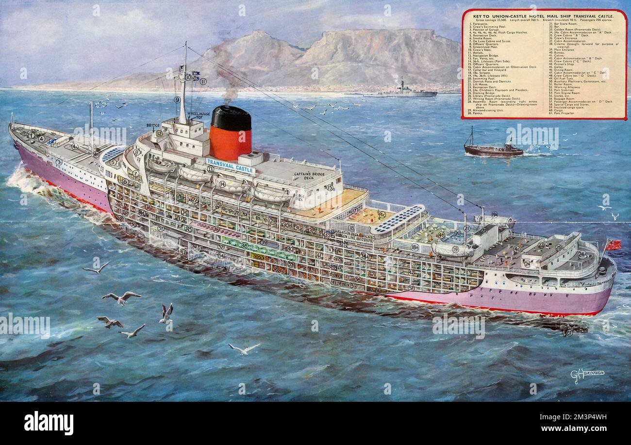 Plan en coupe détaillé du nouveau courrier pour la flotte Union-Castle, R.M.S. Le château de Transvaal, qui a fait son premier voyage de Southampton à l'Afrique du Sud le 18 janvier 1962. Elle a été construite par John Brown sur le Clyde et lancée un an auparavant par Lady Cayzer, épouse de Sir Nicholas Cayzer, président de la ligne Union-Château. Le navire pouvait transporter plus de 700 passagers et avait une longueur de 760 pieds et une largeur de 90 pieds entre le rail du port et le rail tribord. Il n'y avait pas de première, deuxième ou classe touristique et chaque passager avait tenu ses salles publiques qui comprenaient un cinéma de 200 places, un Banque D'Images