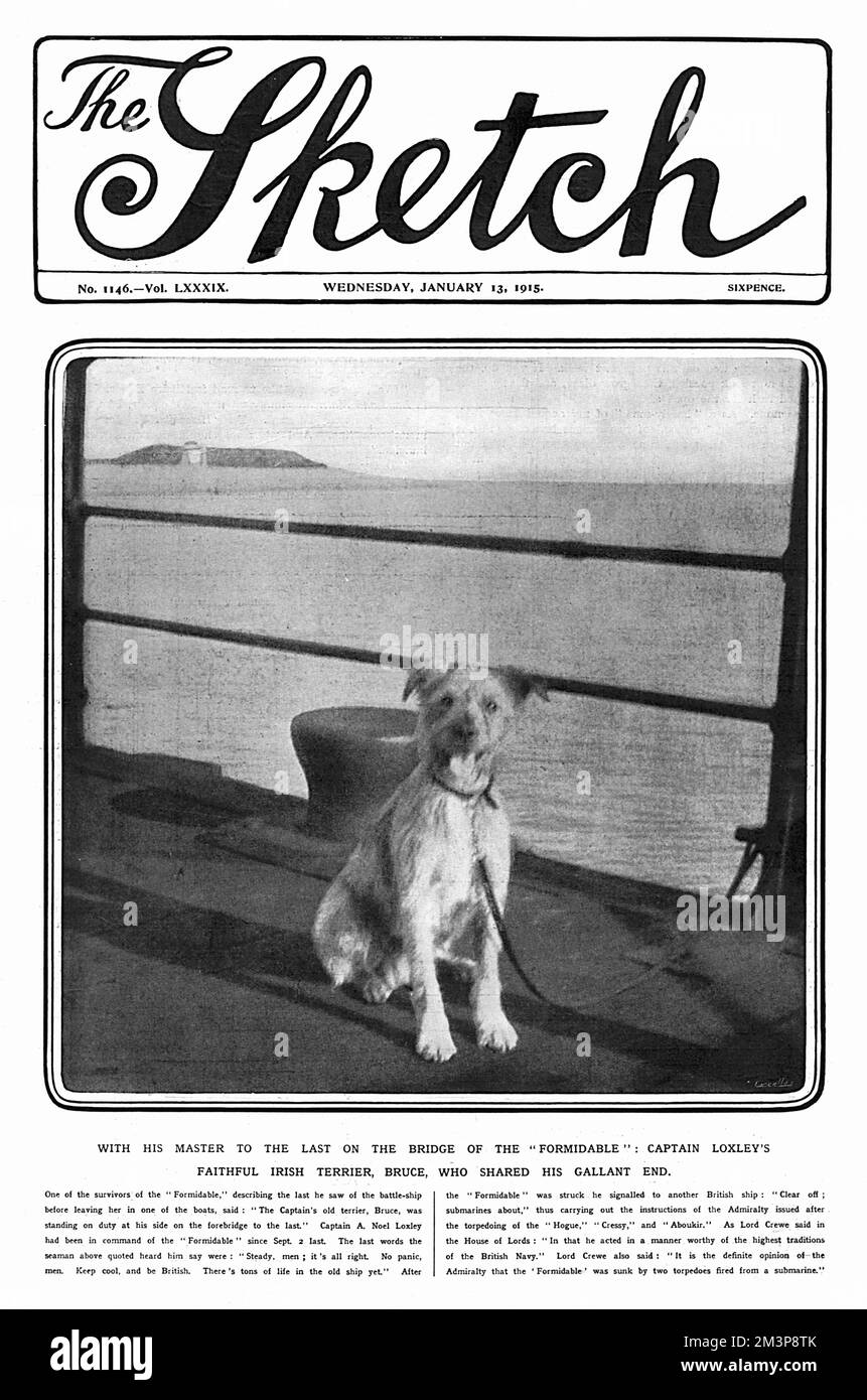 Croquis couverture, chien fidèle du capitaine Loxley, WW1 Banque D'Images