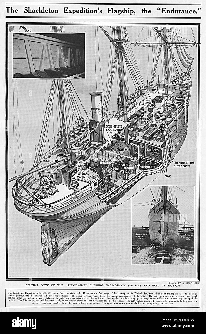 Vue en coupe de l'« Endurance », le navire-amiral de l'expédition transantarctique impériale d'Ernest Shackleton, qui a débuté en 1914. Face à la glace à paquet, le navire est devenu lié à la glace en janvier 1915. Restant piégé, l'Endurance a été abandonnée, en naufrage, en novembre 1915 Date: 1914 Banque D'Images