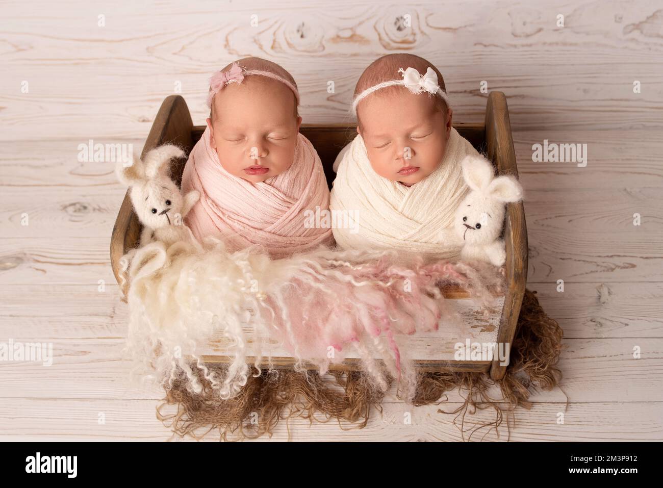 Petites filles jumelles nouveau-nés dans un cocon blanc et rose dans un joli berceau en bois. Banque D'Images