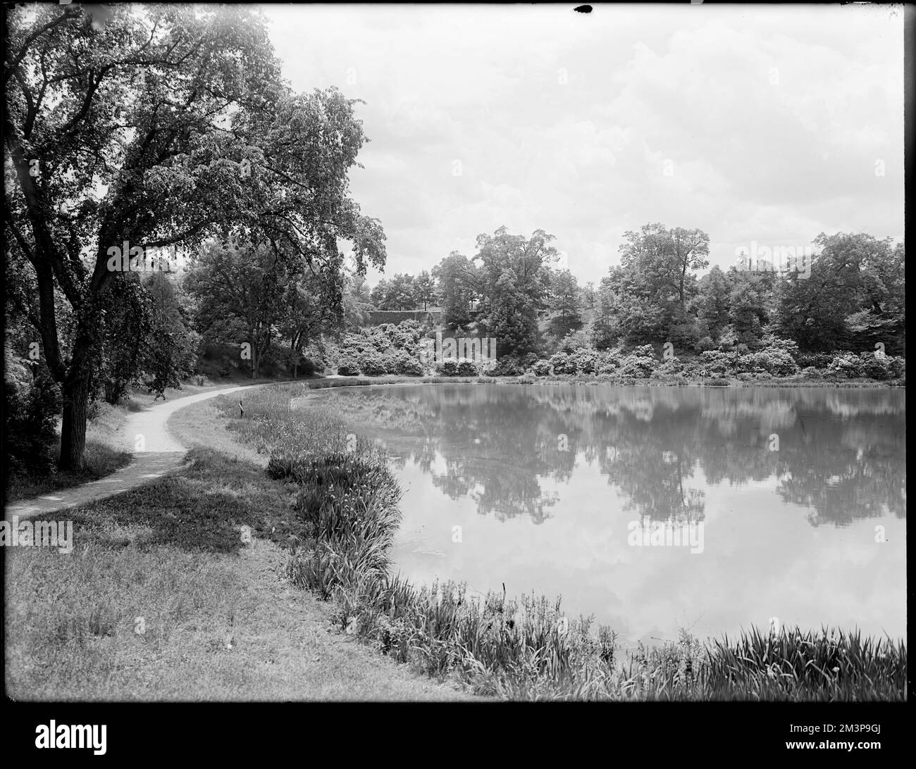 Reflet des nuages dans Ward's Pond, en descendant de Perkins Street, Lakes & étangs, sentiers et sentiers, fleurs. Collection Leon Abdalian Banque D'Images