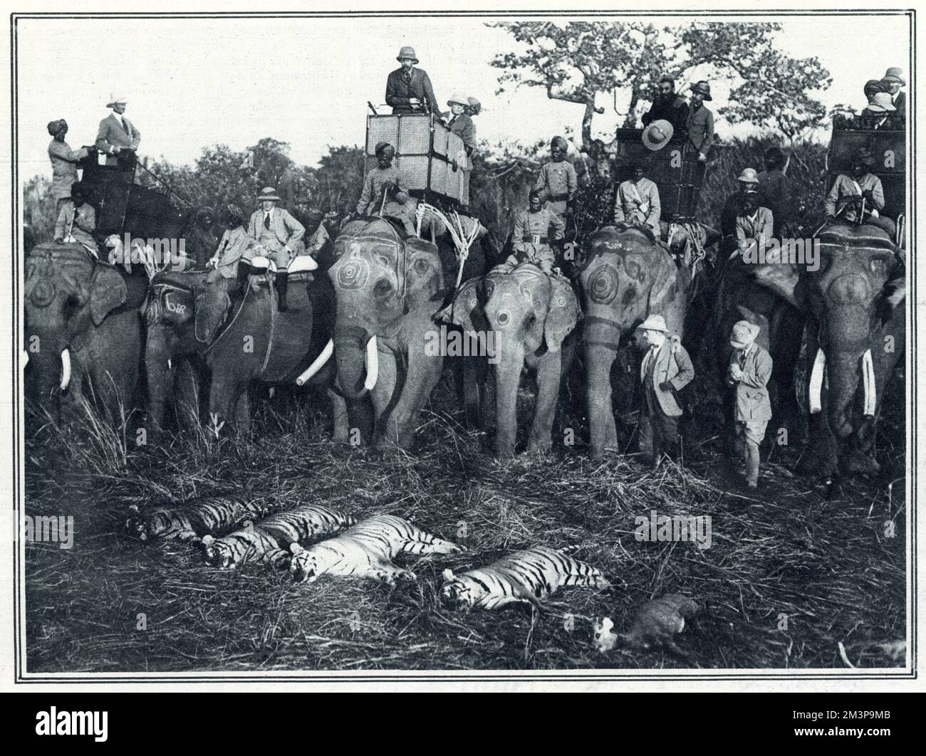 Le roi George V, lors d'une expédition de chasse au gros gibier en Inde, au Népal, (photographié ici à Howdah du gros éléphant au centre), inspectant les résultats d'un sport du matin comprenant quatre tigres. Date: 1911 Banque D'Images