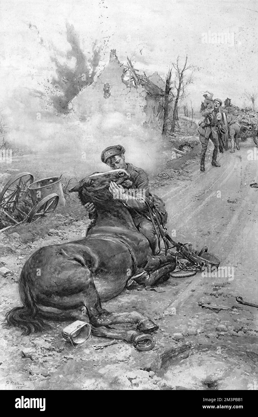 Good-Bye, Old Man : un incident sur la route d'une position de batterie dans le sud de la Flandre. Un soldat dit Au revoir à son cheval mourant. 1916 Banque D'Images