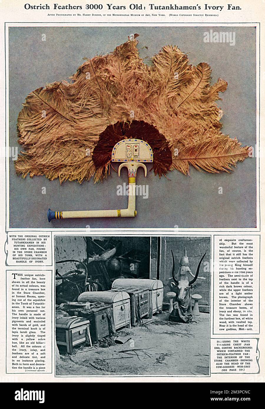 Éventail ivoire de Toutankhamon avec plumes d'autruche Banque D'Images