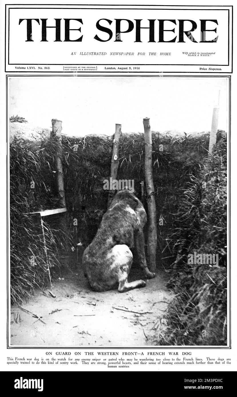 Sphère couverture - chien de guerre français sur la garde Banque D'Images